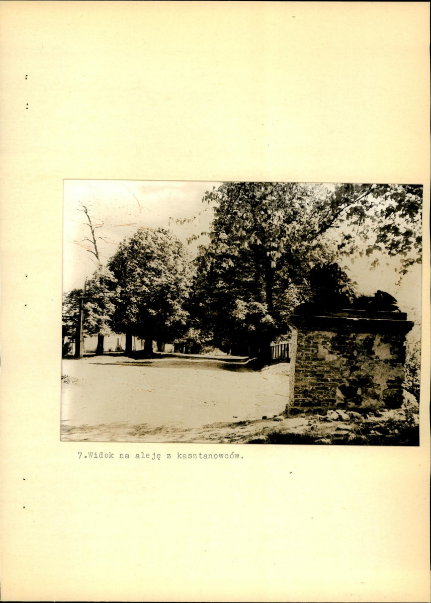 Ewidencja parkowa, skan nr 34