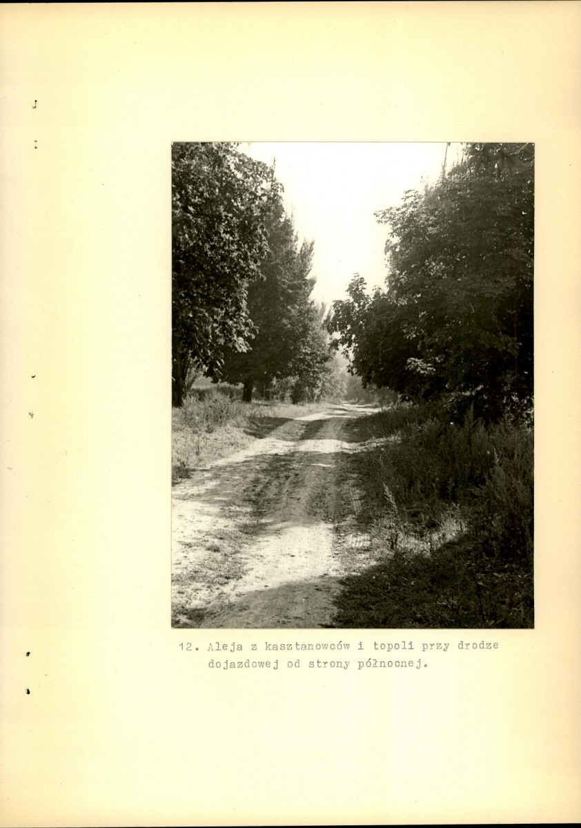 Ewidencja parkowa, skan nr 39