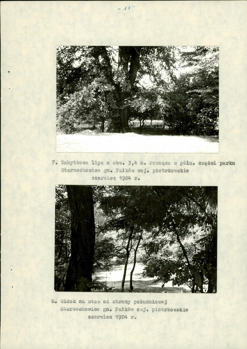 Ewidencja parkowa, skan nr 19