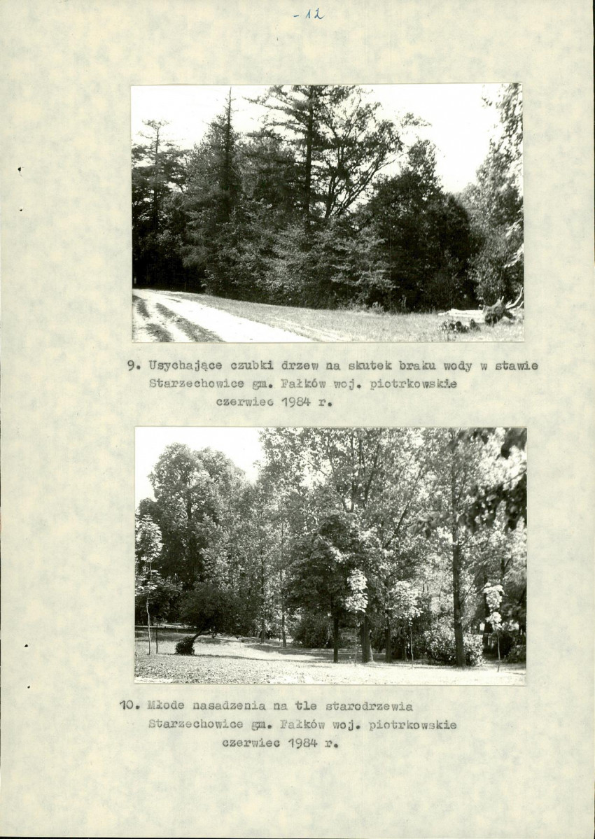 Ewidencja parkowa, skan nr 20