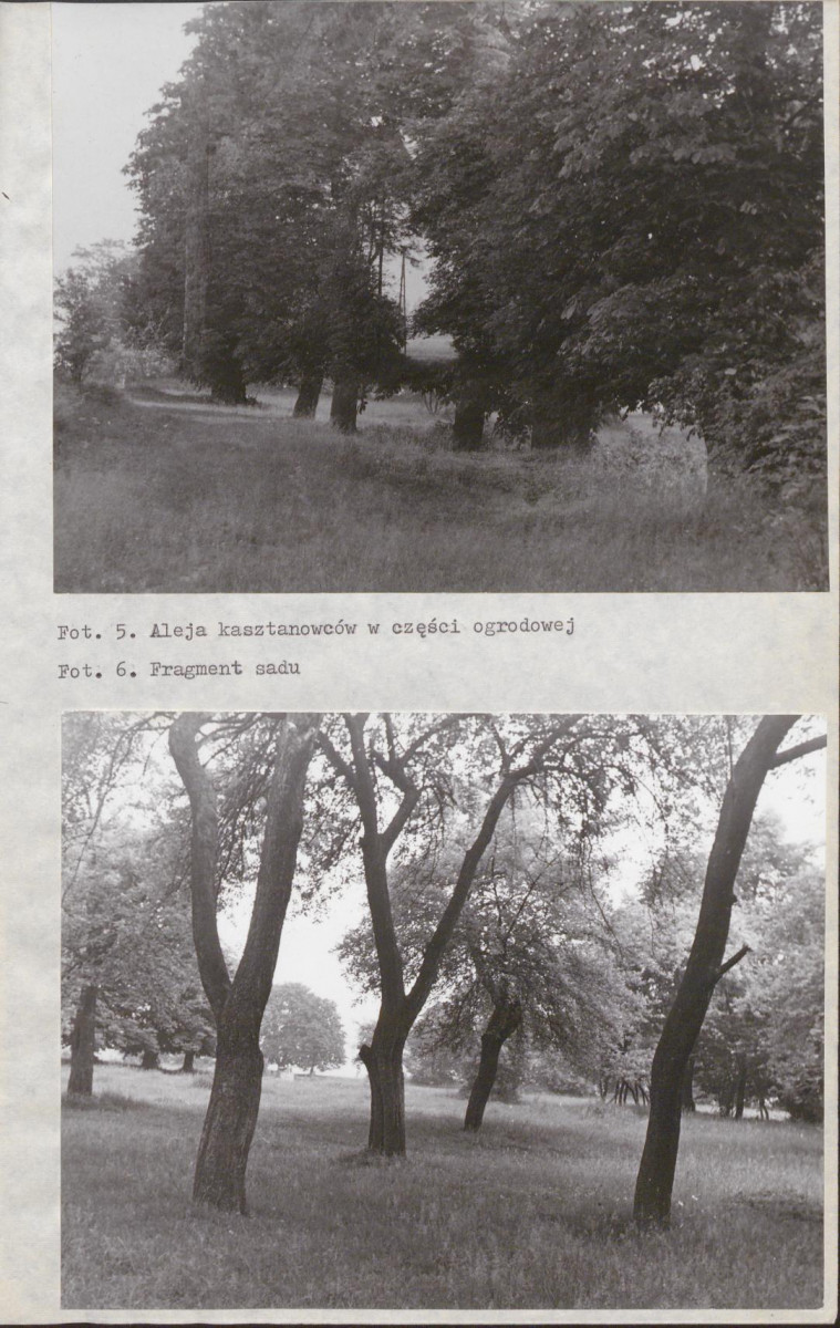 EP - Ewidencja parkowa, skan nr 33