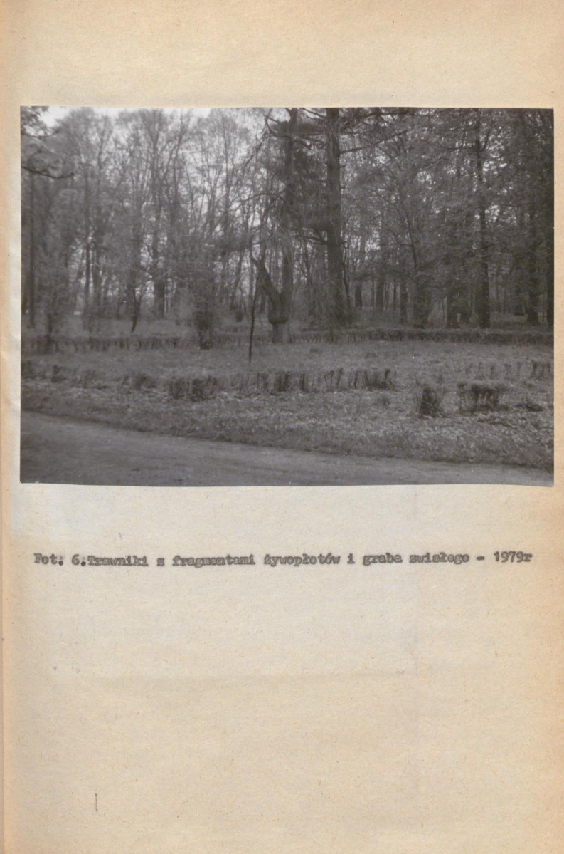 EP - Ewidencja parkowa, skan nr 31