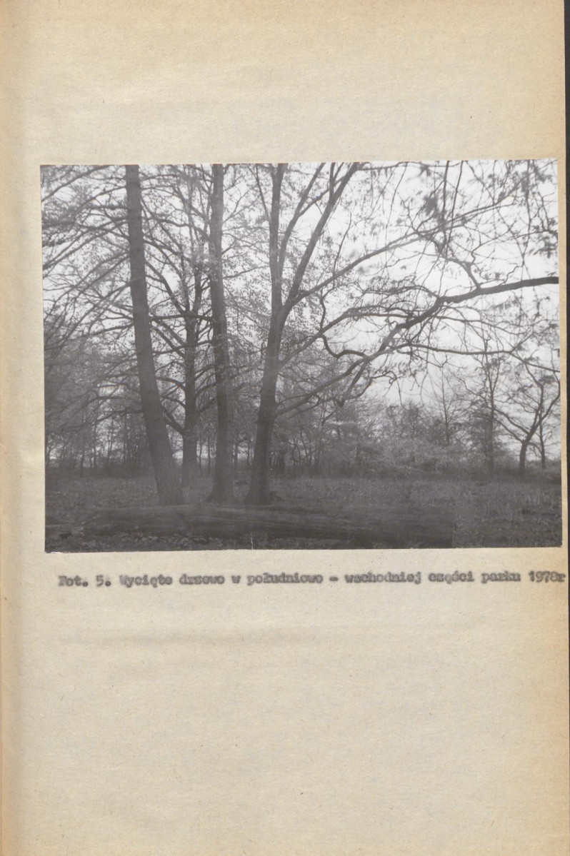 Ewidencja parkowa, skan nr 25