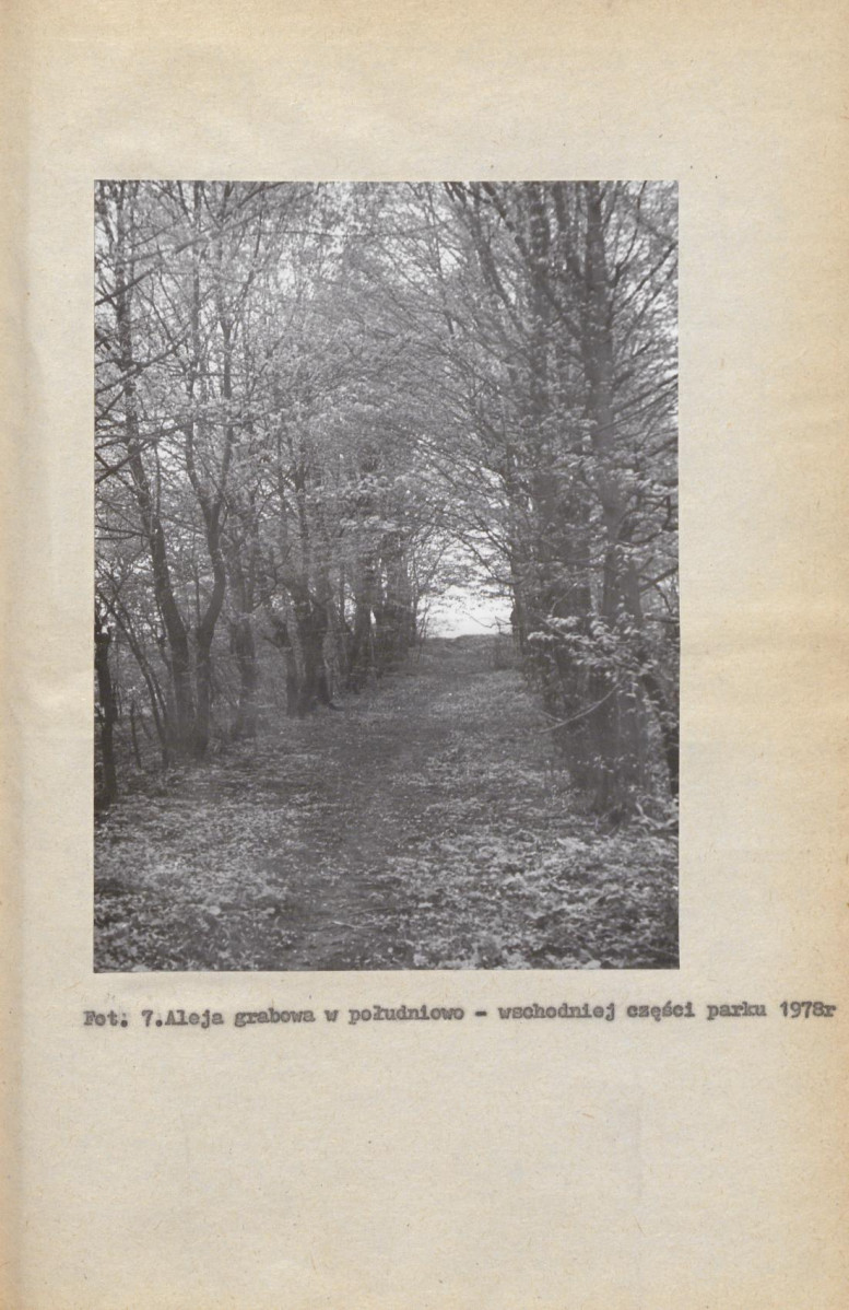 Ewidencja parkowa, skan nr 27