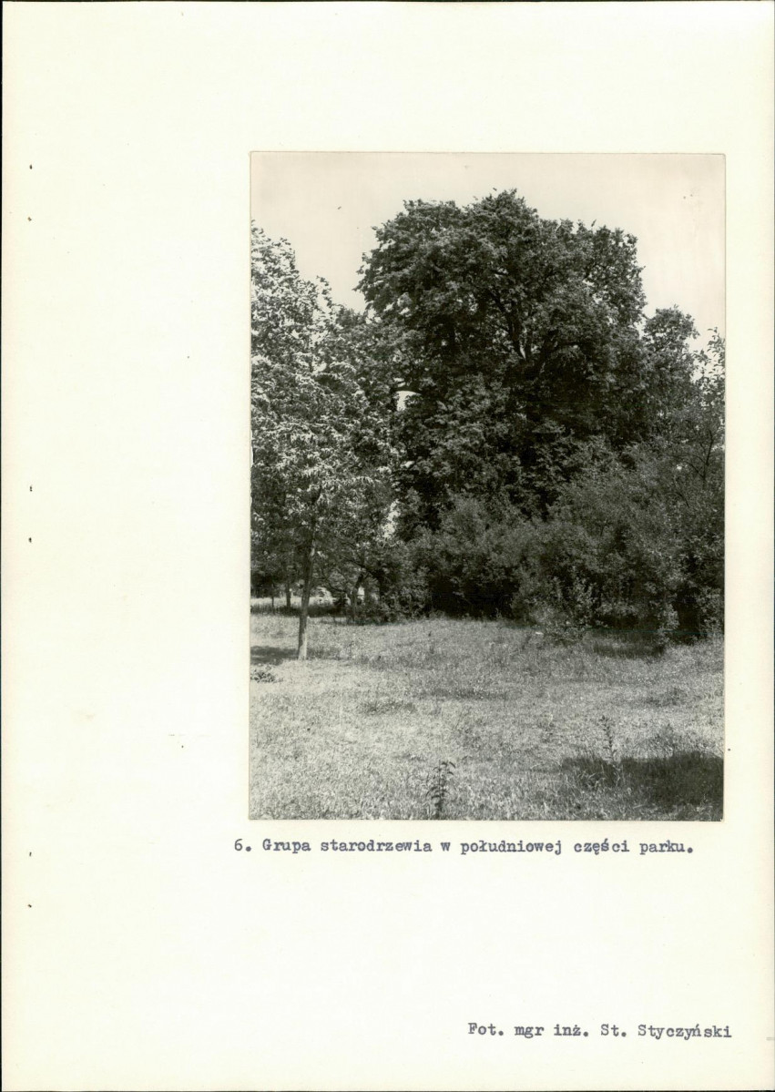 EP - Ewidencja parkowa, skan nr 30