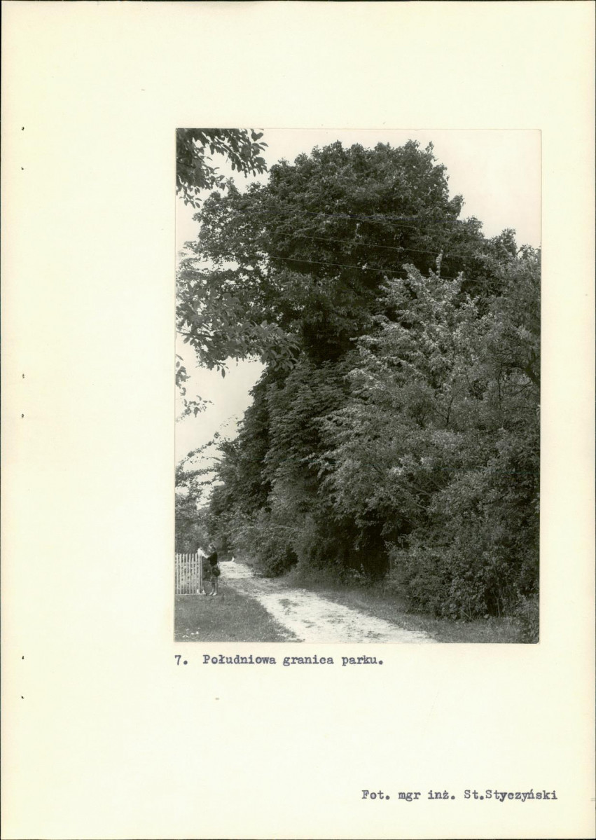 EP - Ewidencja parkowa, skan nr 31