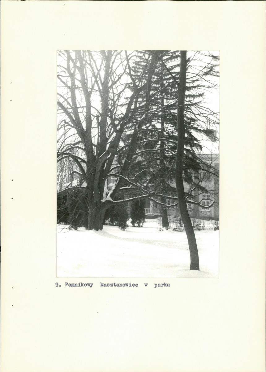 EP - Ewidencja parkowa, skan nr 34