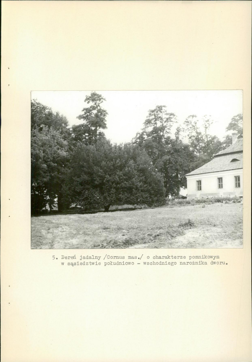 EP - Ewidencja parkowa, skan nr 30