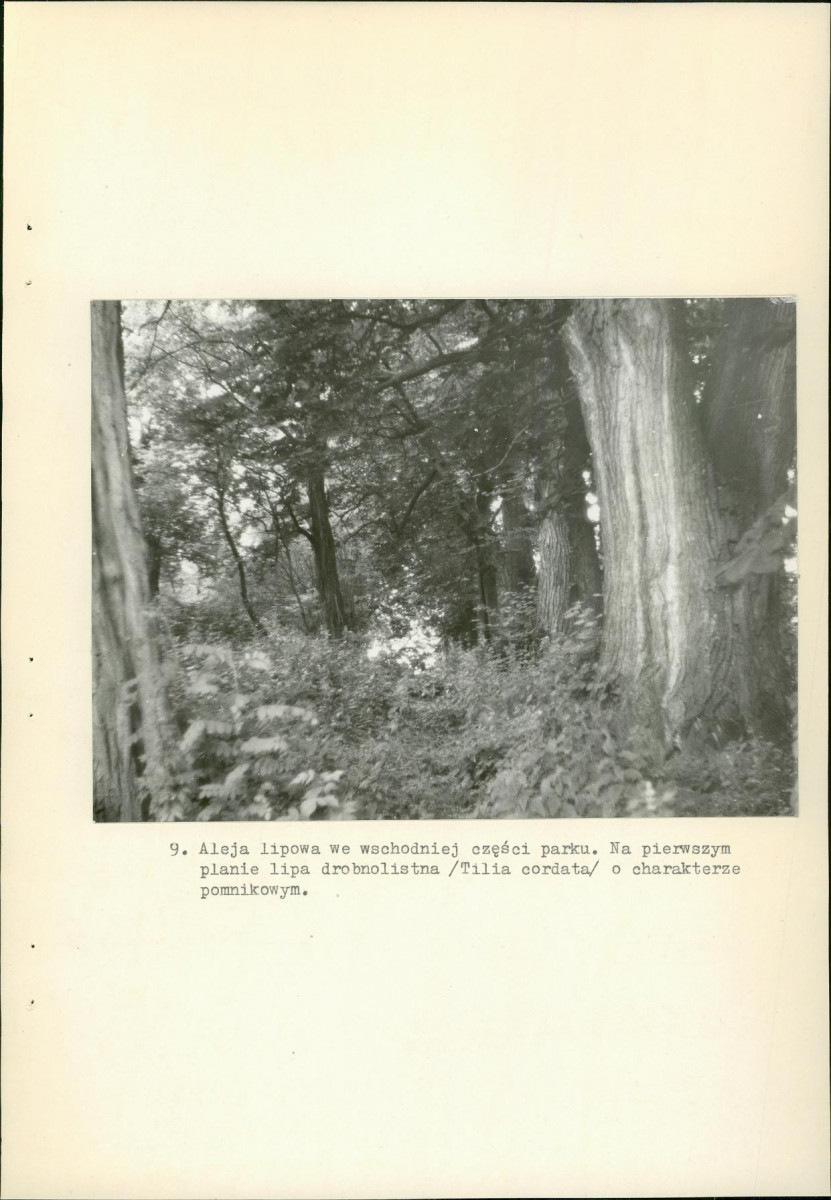 EP - Ewidencja parkowa, skan nr 34