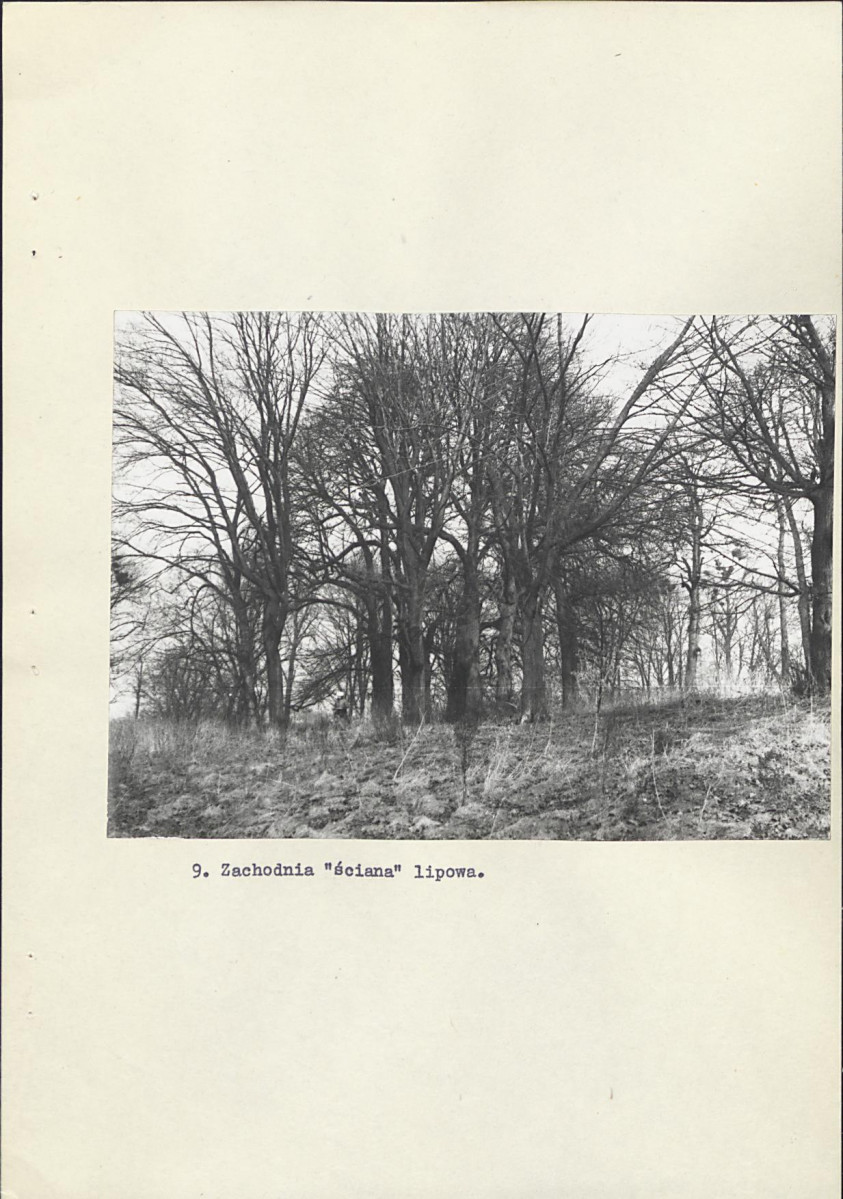 Ewidencja parkowa, skan nr 35