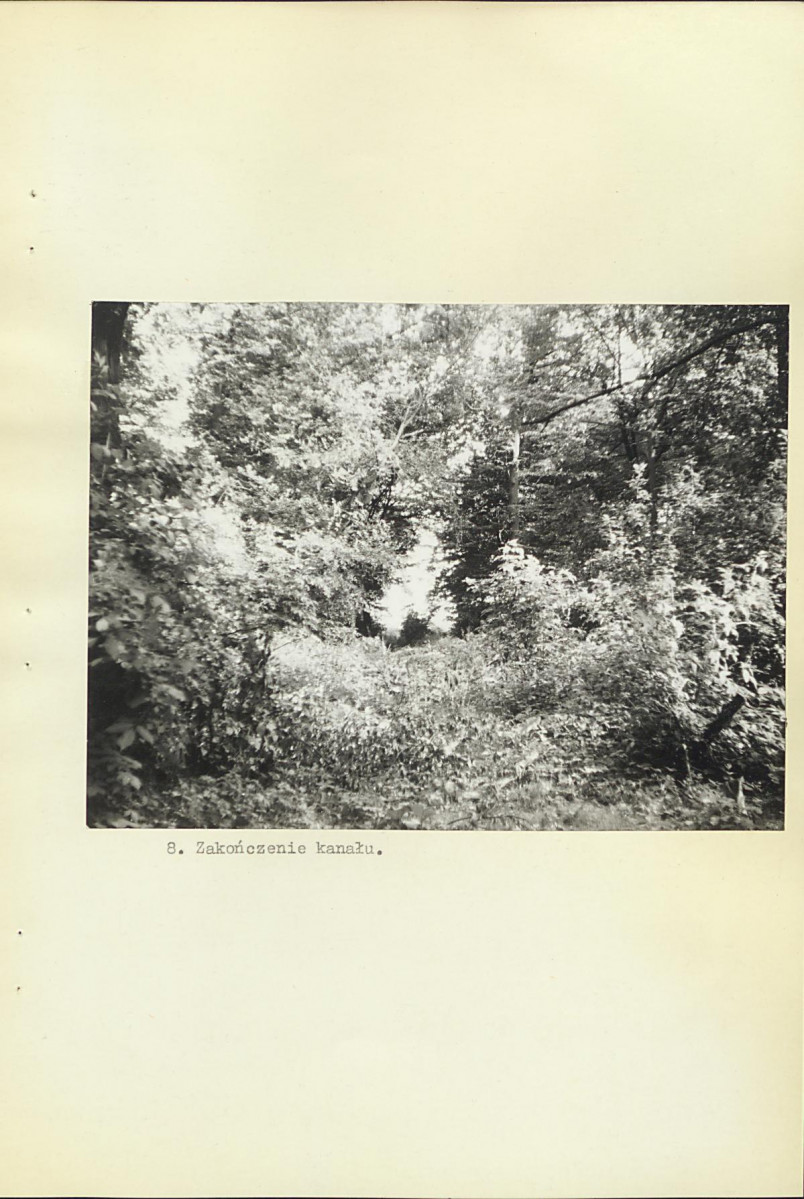 EP - Ewidencja parkowa, skan nr 37