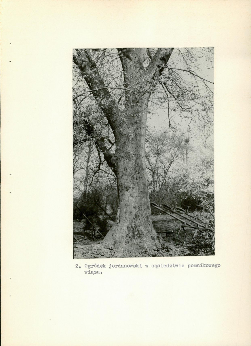 Ewidencja parkowa, skan nr 22