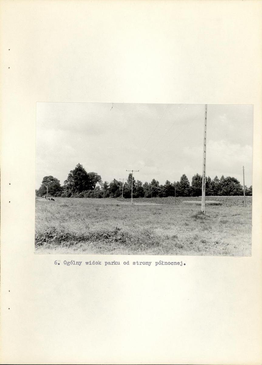 Ewidencja parkowa, skan nr 26