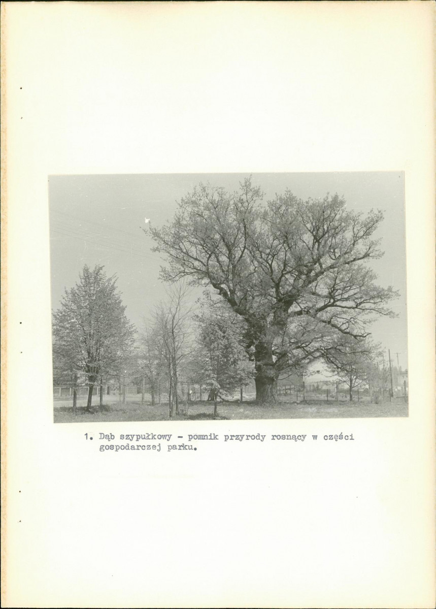 Ewidencja parkowa, skan nr 25