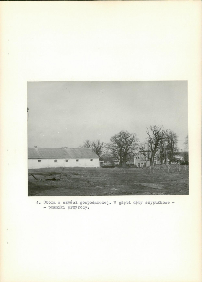 Ewidencja parkowa, skan nr 28