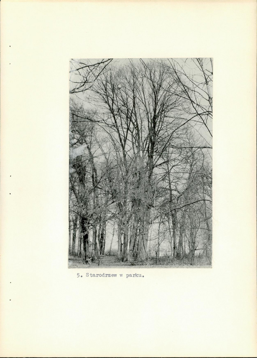 Ewidencja parkowa, skan nr 32