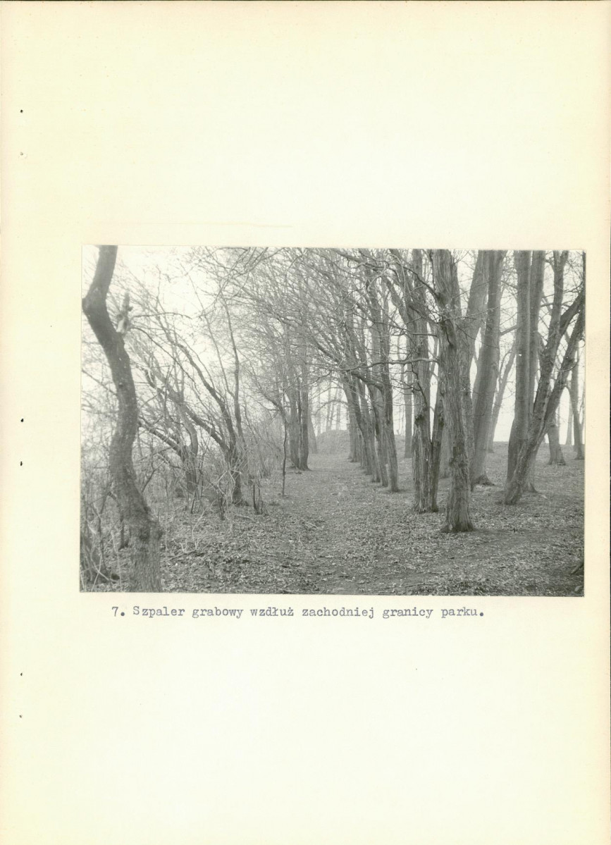 Ewidencja parkowa, skan nr 34