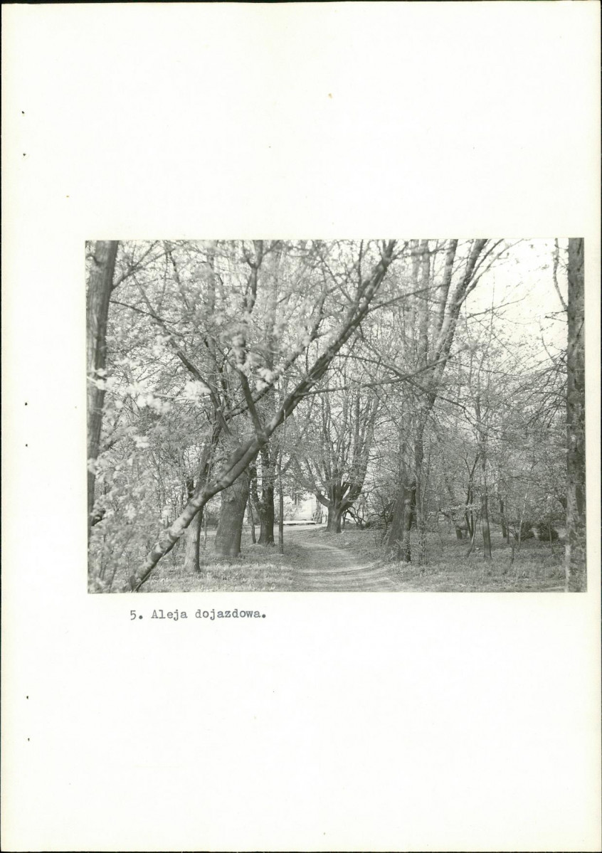 EP - Ewidencja parkowa, skan nr 25