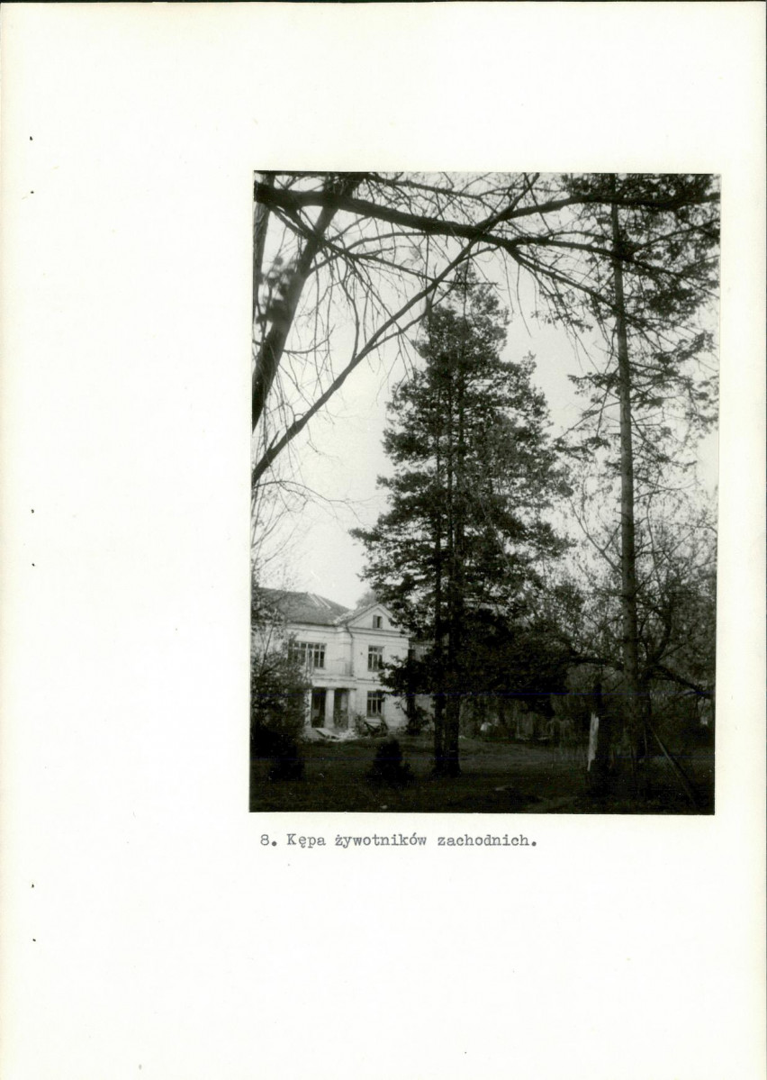 EP - Ewidencja parkowa, skan nr 28