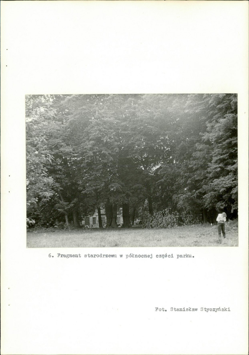Ewidencja parkowa, skan nr 29