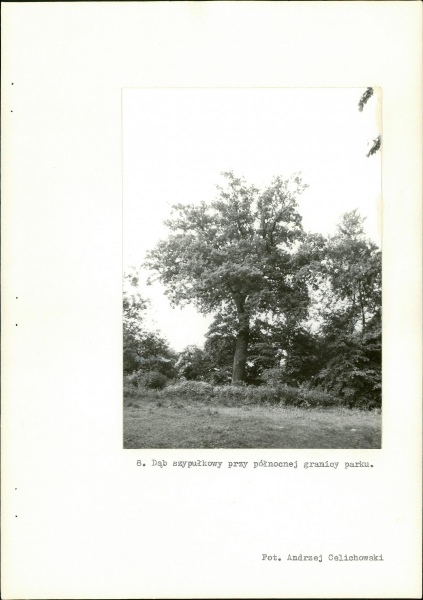 Ewidencja parkowa, skan nr 31
