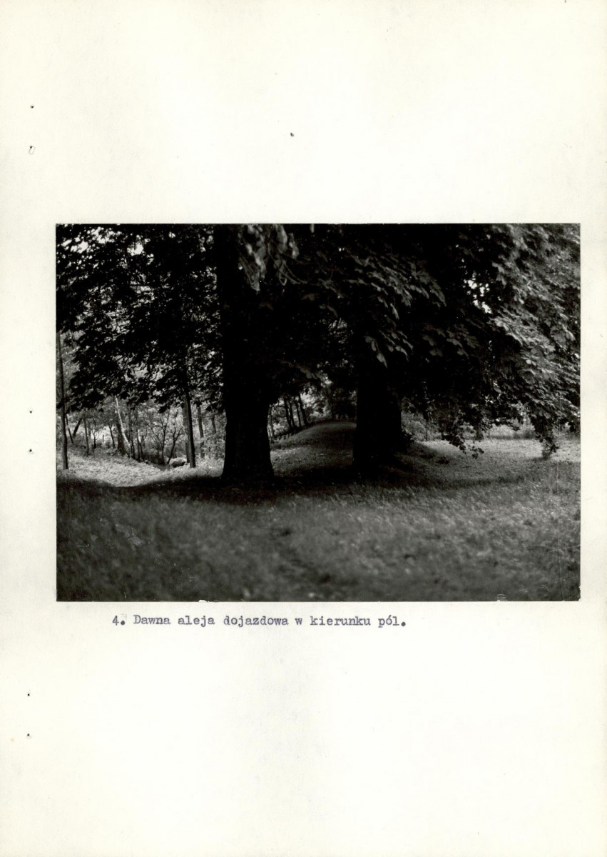 EP - Ewidencja parkowa, skan nr 29
