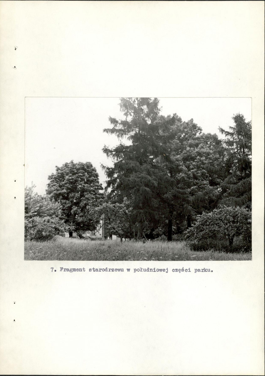 EP - Ewidencja parkowa, skan nr 32