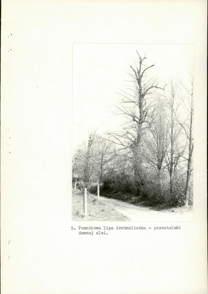 Ewidencja parkowa, skan nr 32