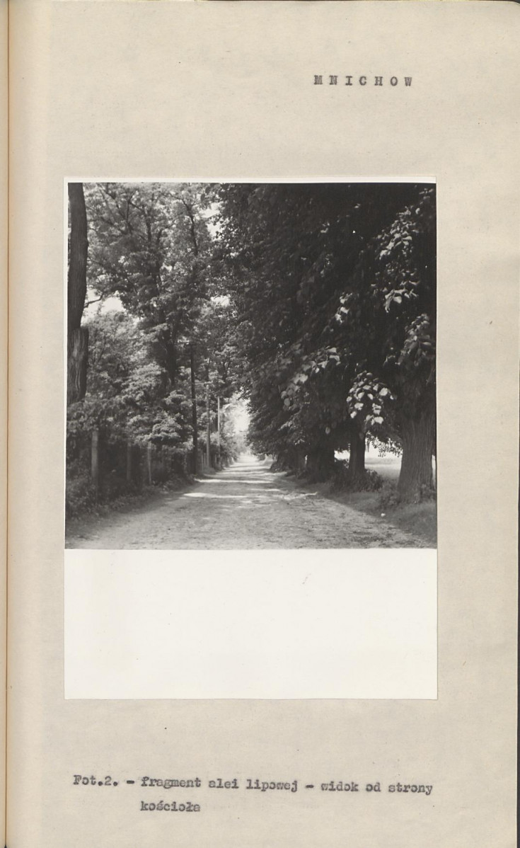 Ewidencja parkowa, skan nr 18