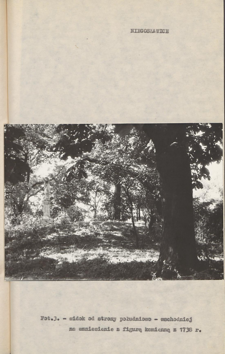 Ewidencja parkowa, skan nr 16