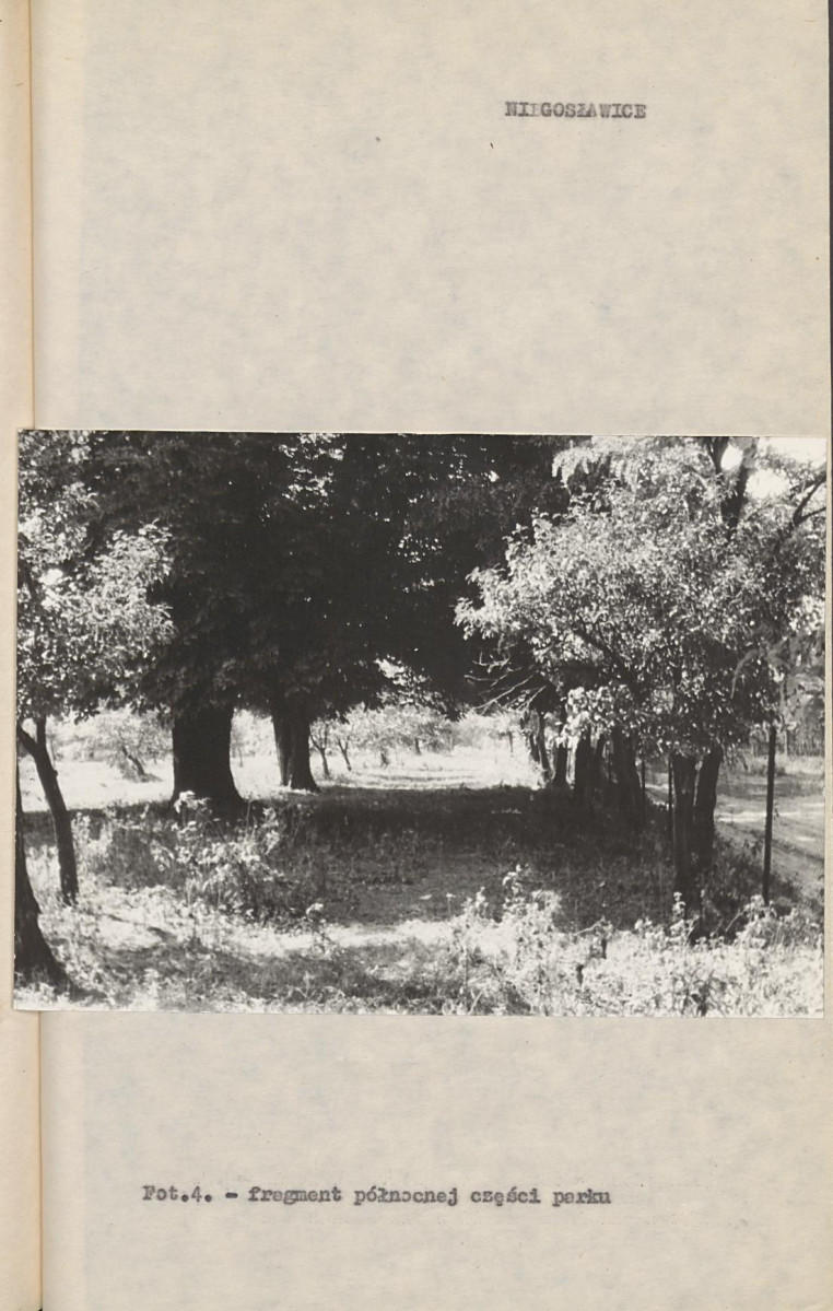 Ewidencja parkowa, skan nr 17