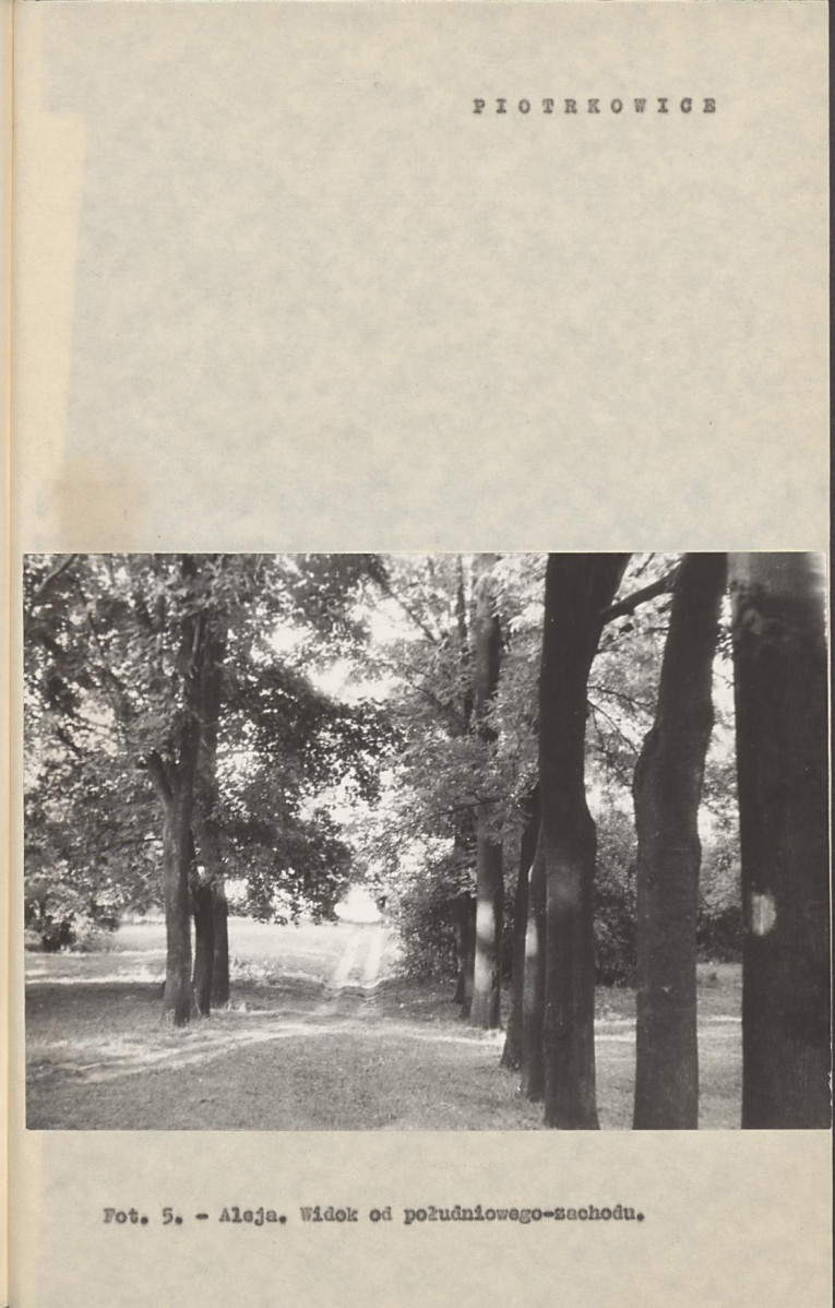 Ewidencja parkowa, skan nr 19