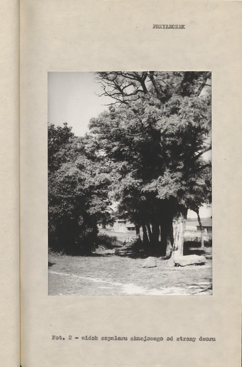 Ewidencja parkowa, skan nr 14