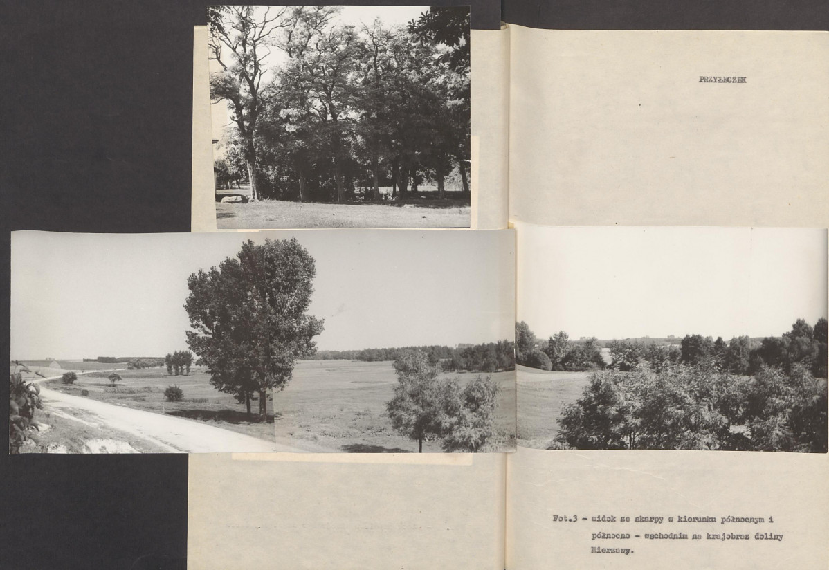 Ewidencja parkowa, skan nr 15