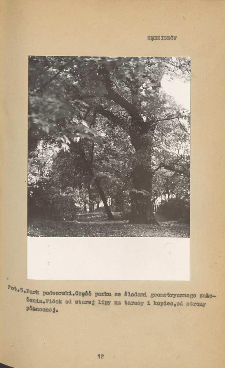 Ewidencja parkowa, skan nr 17