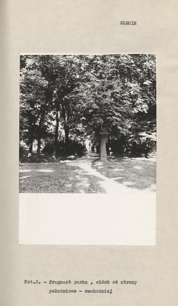 Ewidencja parkowa, skan nr 13