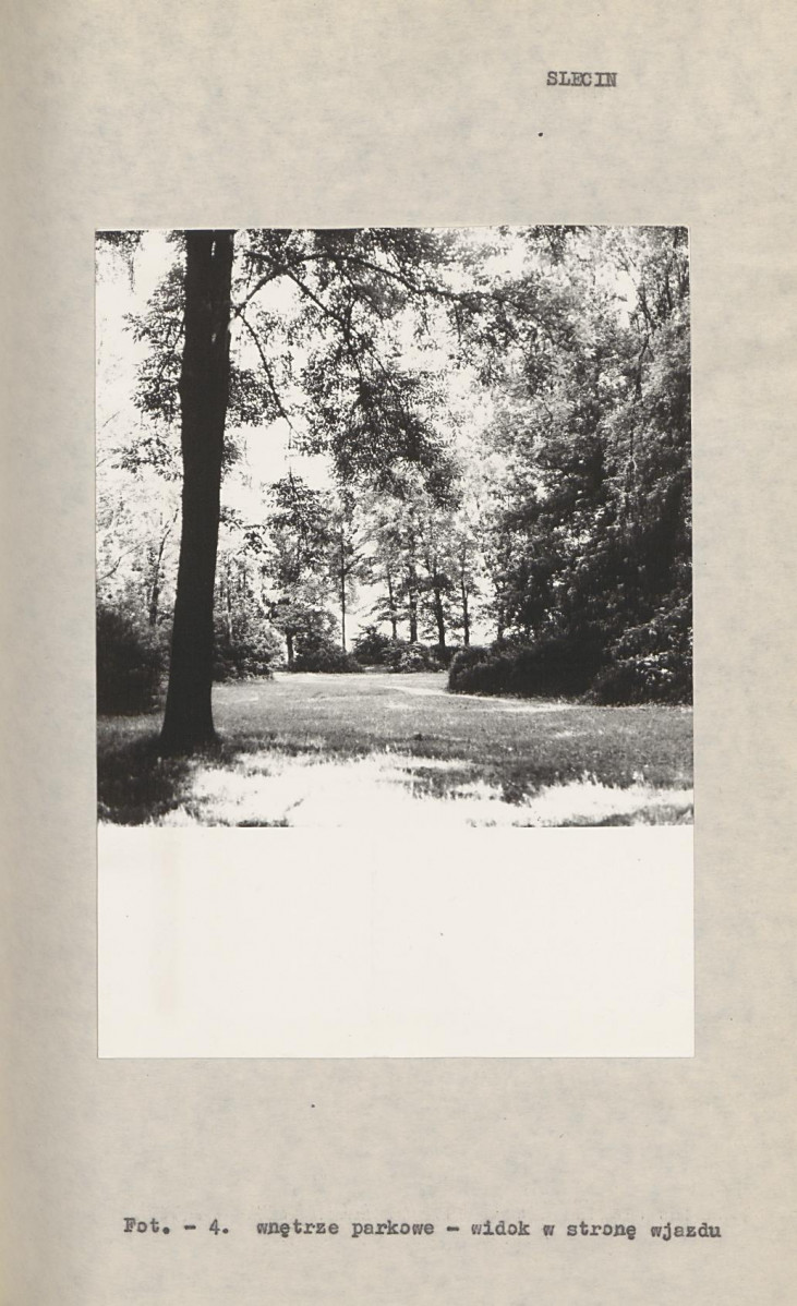 Ewidencja parkowa, skan nr 15