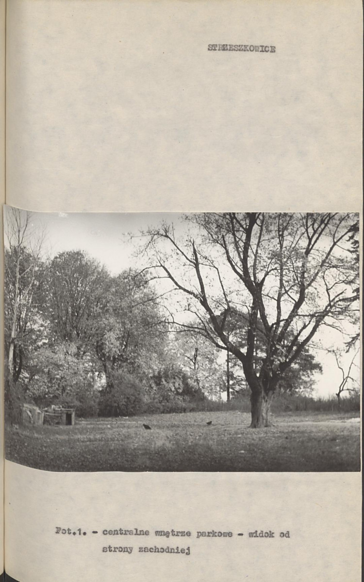 Ewidencja parkowa, skan nr 14