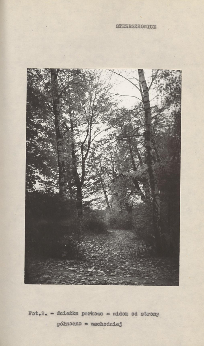 Ewidencja parkowa, skan nr 15