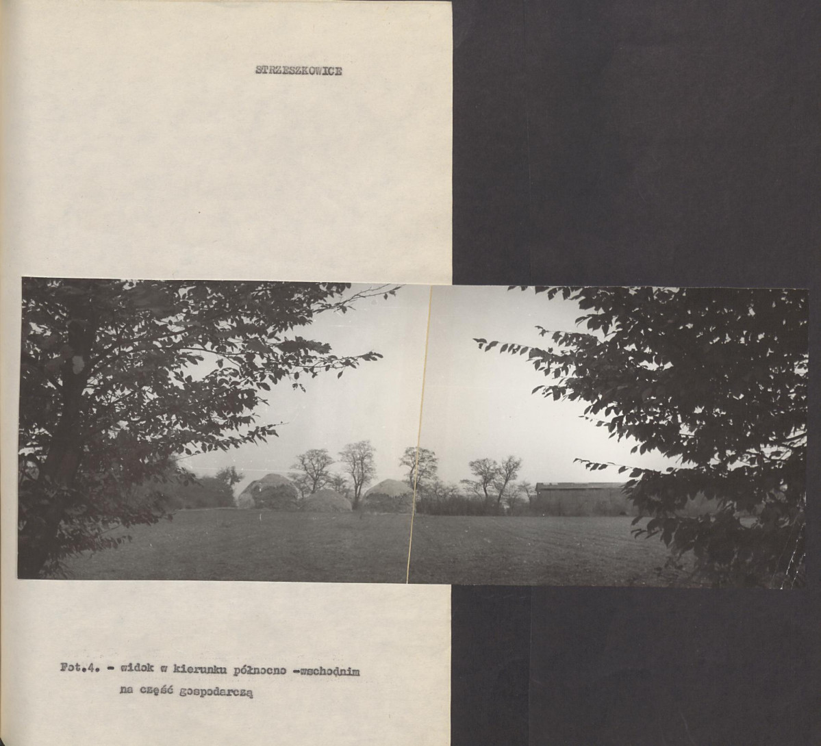 Ewidencja parkowa, skan nr 17