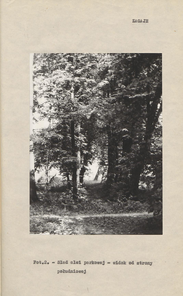 Ewidencja parkowa, skan nr 15