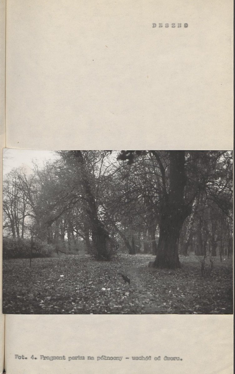 Ewidencja parkowa, skan nr 19