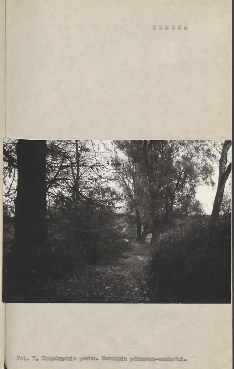 Ewidencja parkowa, skan nr 22