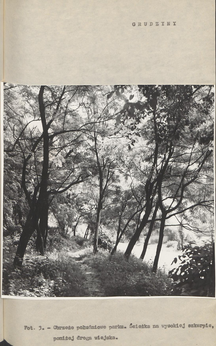 Ewidencja parkowa, skan nr 16