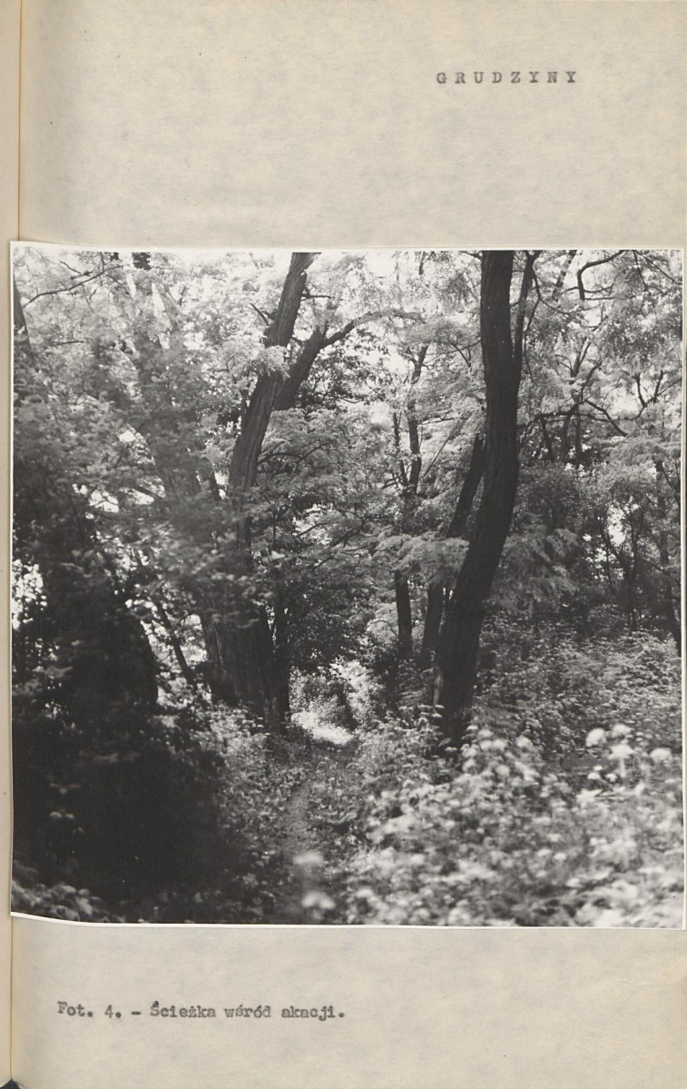 Ewidencja parkowa, skan nr 17