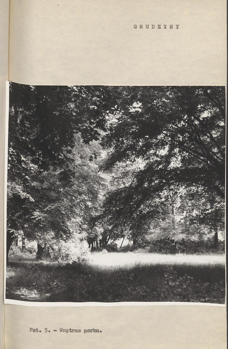 Ewidencja parkowa, skan nr 18