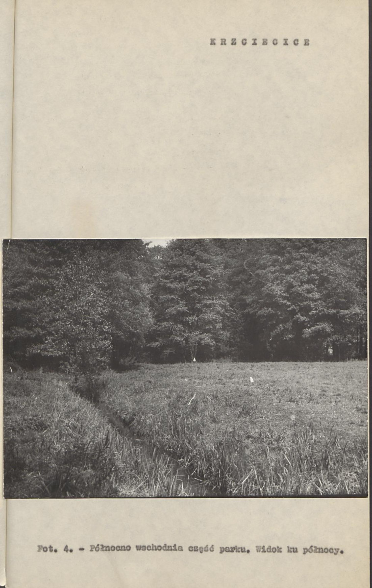 Ewidencja parkowa, skan nr 20