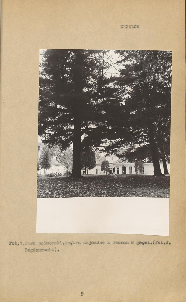Ewidencja parkowa, skan nr 15