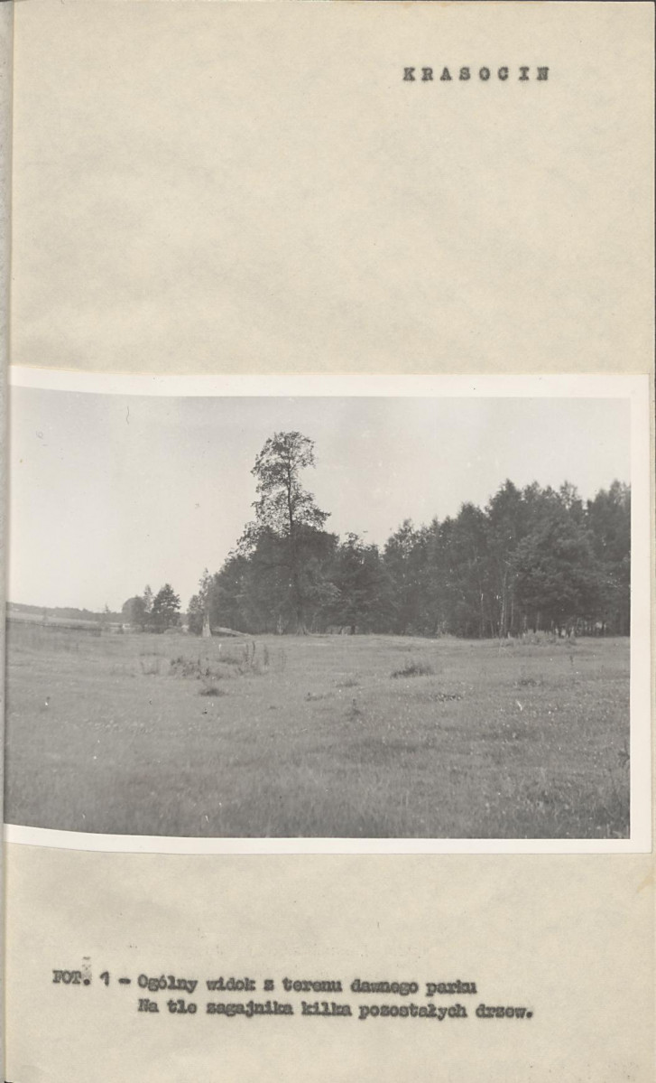 Ewidencja parkowa, skan nr 10