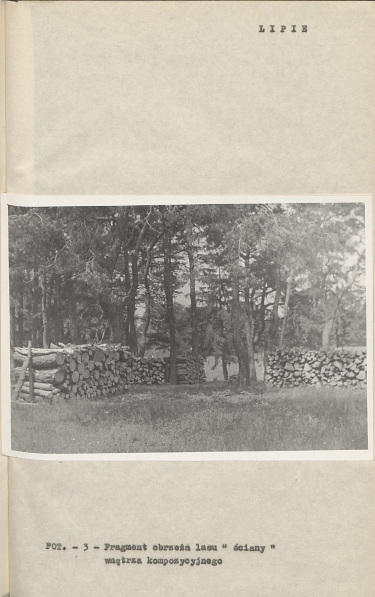 Ewidencja parkowa, skan nr 12